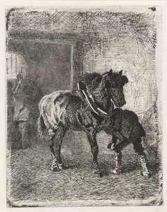 Paard krijgt hoefijzers in een smederij door Cornelis Albertus Johannes Schermer