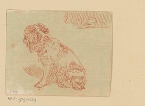 Zittende hond door Cornelis Brouwer (possibly)