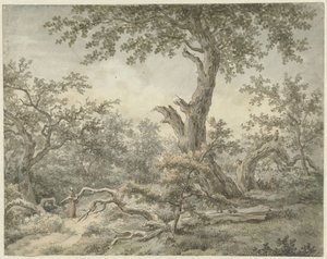 Boslandschap door Cornelis Buys