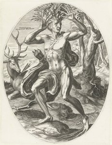 Cyparissus door Cornelis Cort