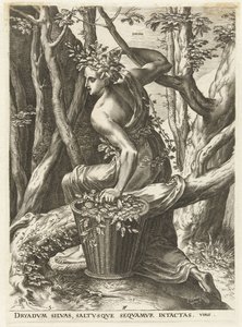 Dryas (Godinnen en nimfen) door Cornelis Cort