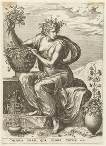 Flora