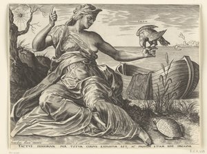 Het gevoel door Cornelis Cort