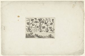 Rij bloemen boven landschap Bloemen en landschappen (series title)