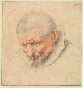De kop van een oude man door Cornelis Dusart