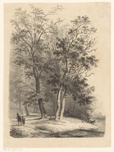 Twee figuren wandelen in een bos