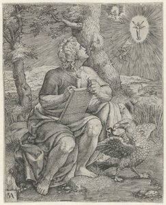 De evangelist Johannes
