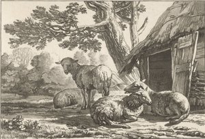 Schaapskooi