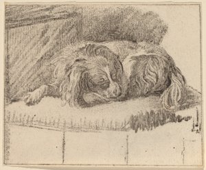 Liggende Hond door Cornelis Ploos van Amstel