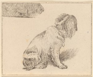 Zittende Hond