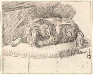 Slapende Hond, 1777