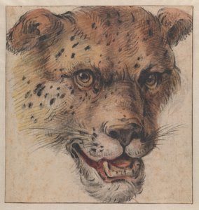  door Cornelis Saftleven