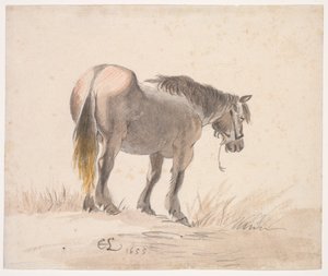 Paard Staand op een Heuvel door Cornelis Saftleven