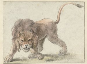 Leeuw