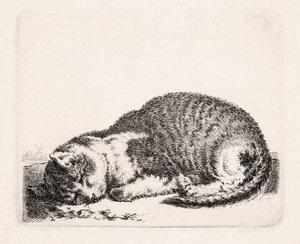 Slapende Kat, ca. 1607-81