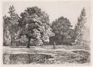 Landschap met bomen, meer en een vrouw