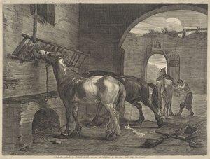 Paardenstal