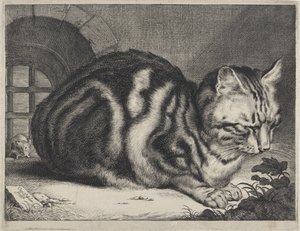 De grote kat