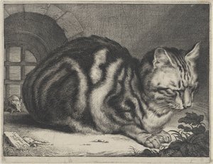 De Grote Kat