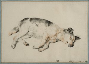  door Cornelis Visscher