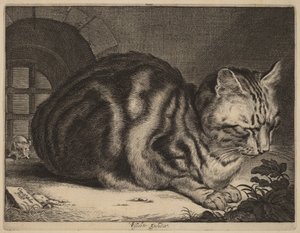De grote kat