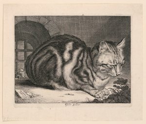 De Grote Kat