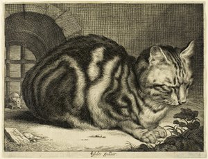 De Grote Kat