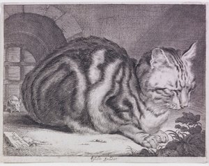 De Grote Kat