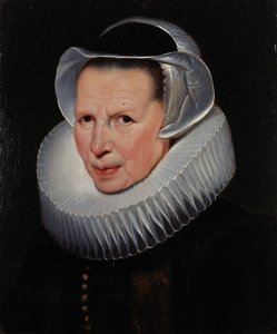 door Cornelis de Vos