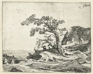 Landschap met boom