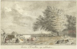 Koeien in een weiland buiten Haarlem, op Schooten
