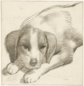 Liggende hond