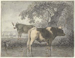 Twee koeien onder een boom aan het water door Cornelis van Noorde