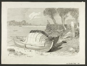Aangespoelde boten