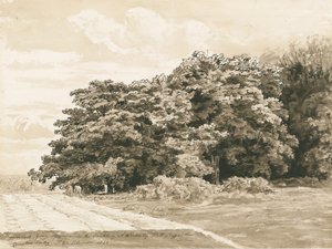 Wrottesley Hall - De Struikgewas: sepia tekening, 1820