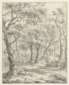 Boslandschap door Couwenhoven