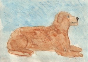 Gedroomd van een hond