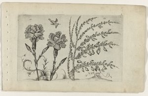 Tuinanjer en brem door Crispijn van de Passe (I) (attributed to)