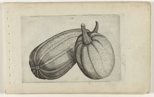 Twee meloenen door Crispijn van de Passe (I) (attributed to)