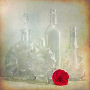 Vintage flessen met rode bloem