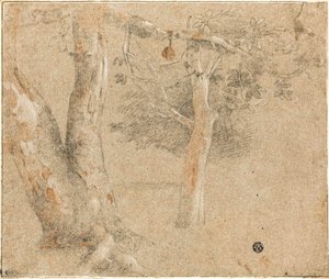 Schetsen van bomen door Cristofano Allori