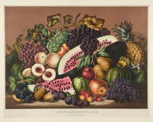 Amerikaans fruitstuk; Plaat CCLXXXI