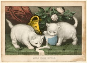 Kleine Witte Kittens in Kattekwaad door Currier and Ives