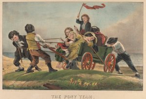 Het ponyteam