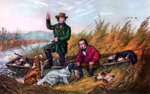Wilde eendenjacht, 1854