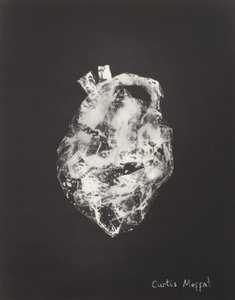 Zonder titel, ca. 1925 (fotogram: gelatin zilverdruk)