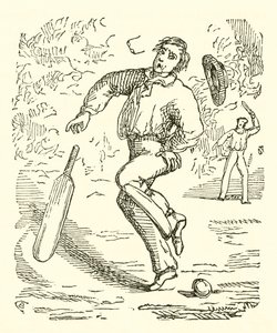 Cricket