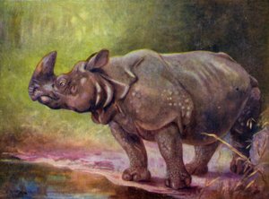 In de dierentuin: Neushoorn door Cuthbert Edmund Swan