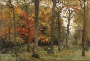 Herfstbladeren door Cyrus Johnson