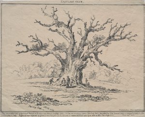 Fairlop Oak door D. H. Redman